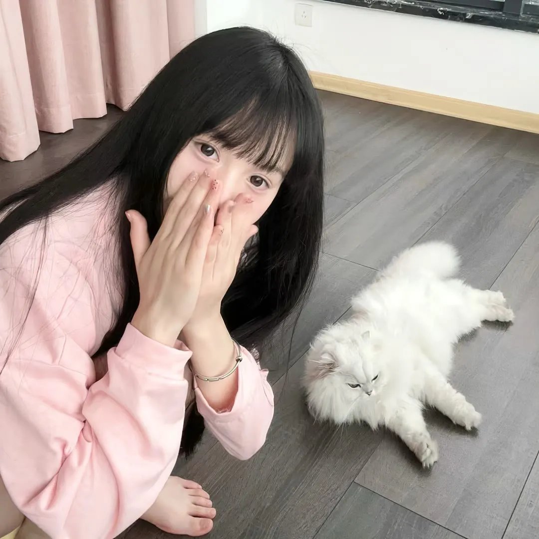 蒂科与鲨鱼